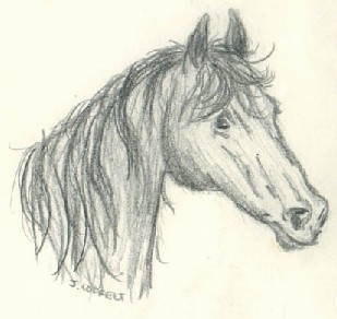 Horse by J.J. Routhier