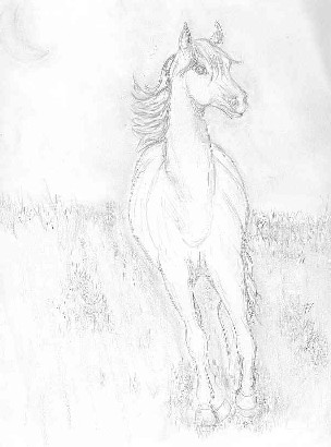 Horse in Field by Jan Tallevast